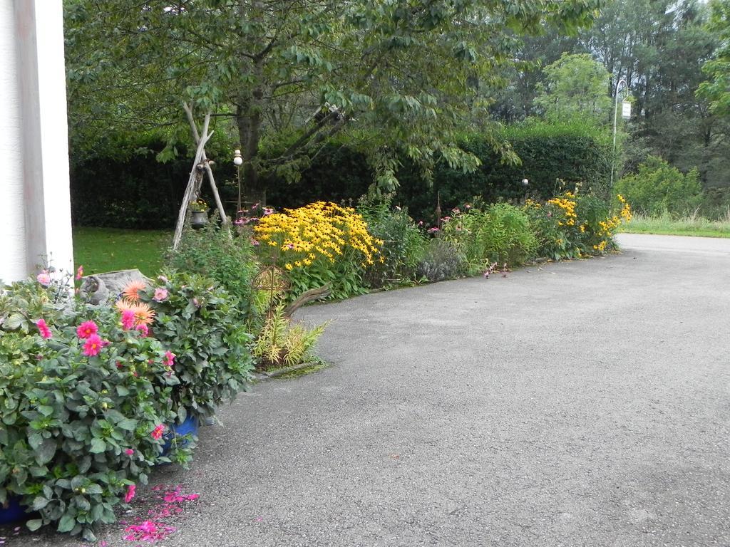 Ferienwohnung Schautzgy Reutte Exteriör bild