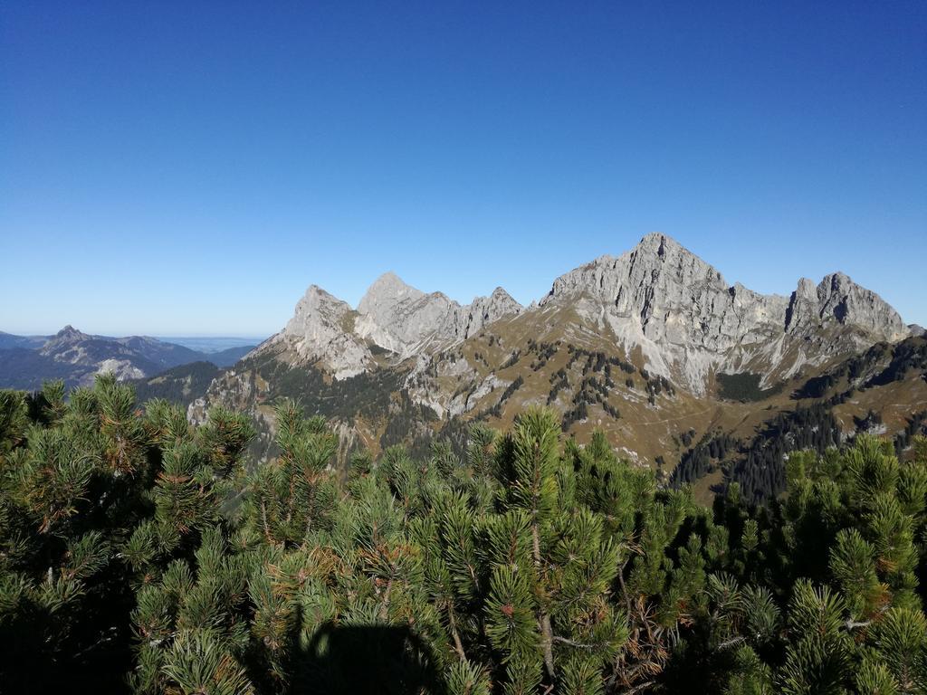Ferienwohnung Schautzgy Reutte Exteriör bild
